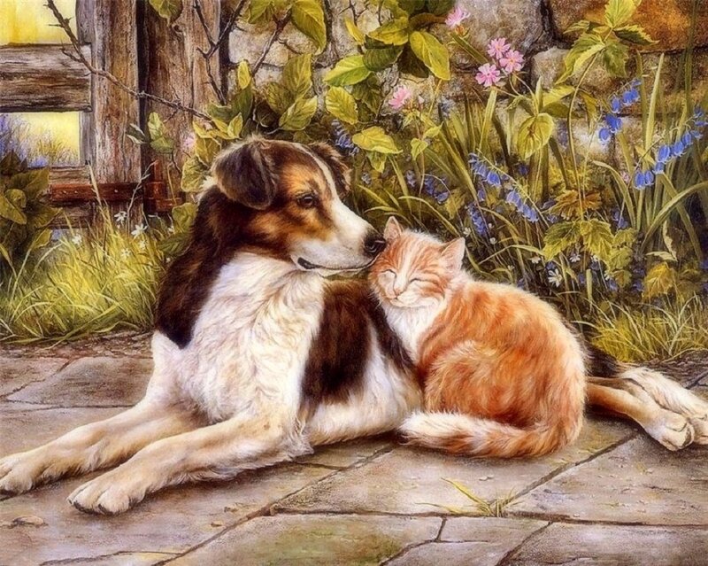 Dog and Cat Together — Brown, Peaceful, Afternoon