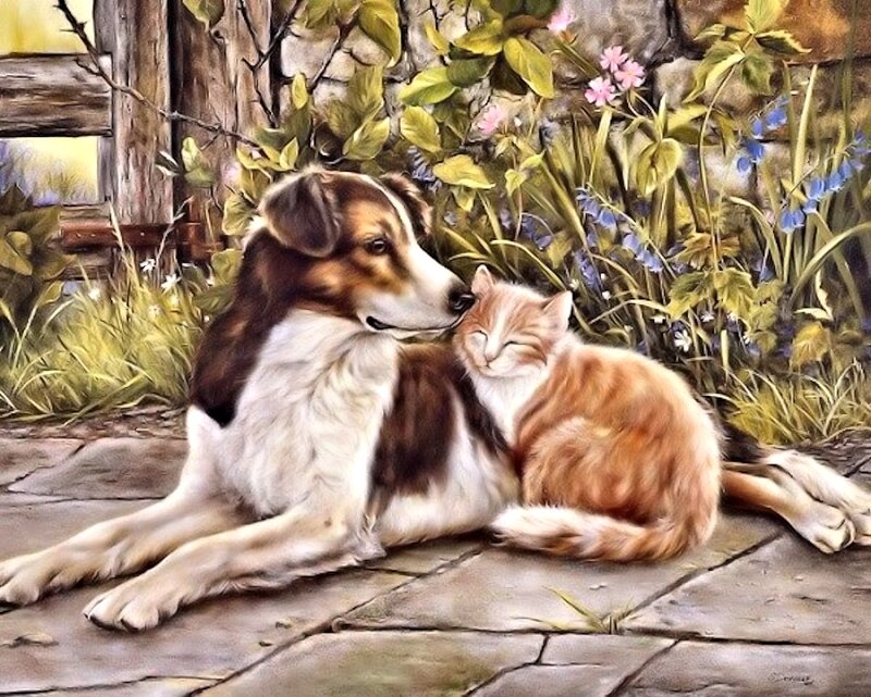 Dog and Cat Together — Brown, Peaceful, Spring