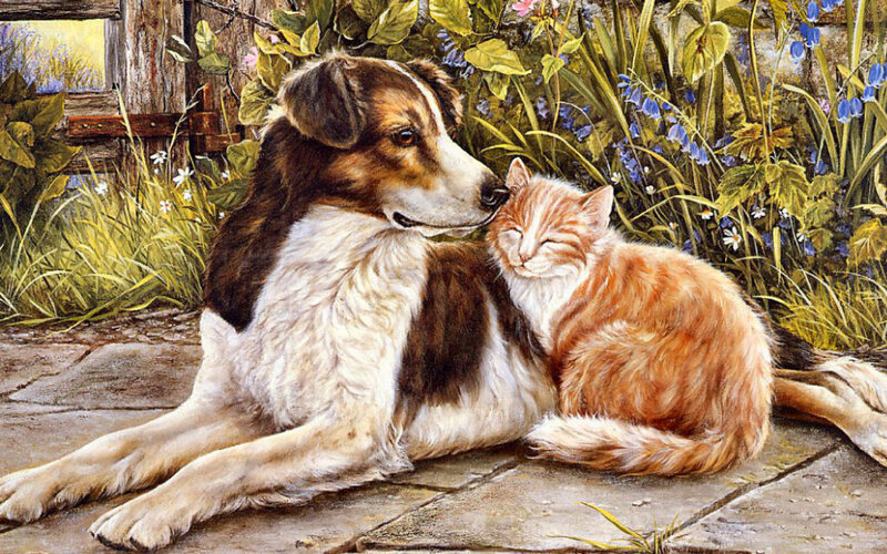 Dog and Cat Together — Brown, Peaceful