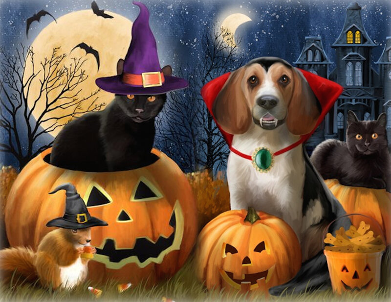 Dog and Cats in Costumes