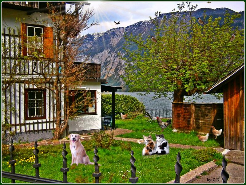 Dog and Cats in Garden — Green