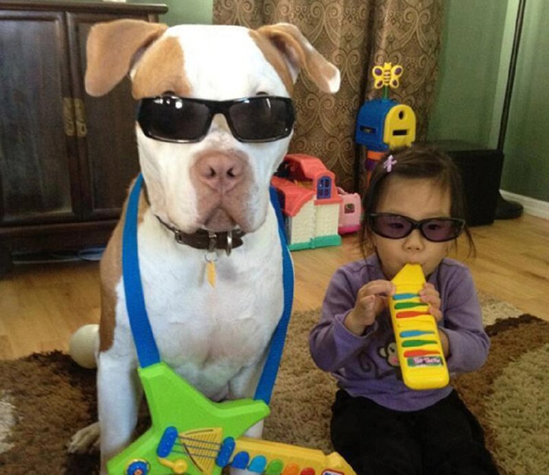 Dog and Child with Toys