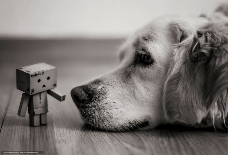 dog and danbo figure