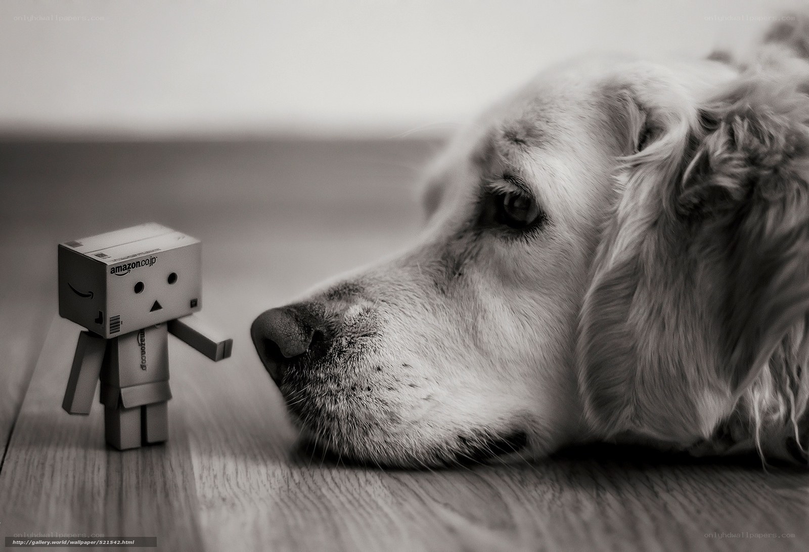 dog and danbo figure