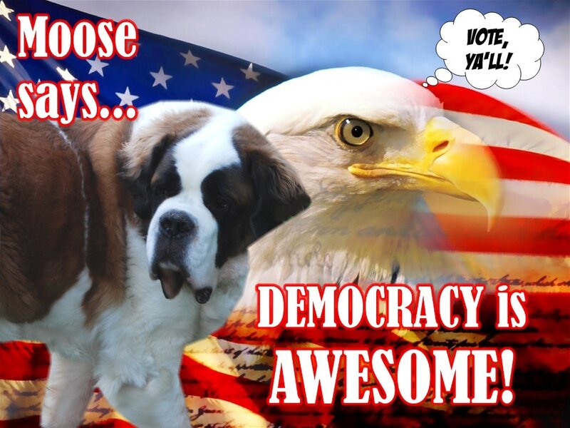 dog and eagle democracy meme