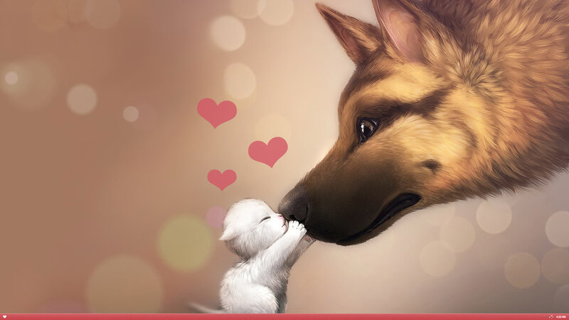 dog and kitten affection