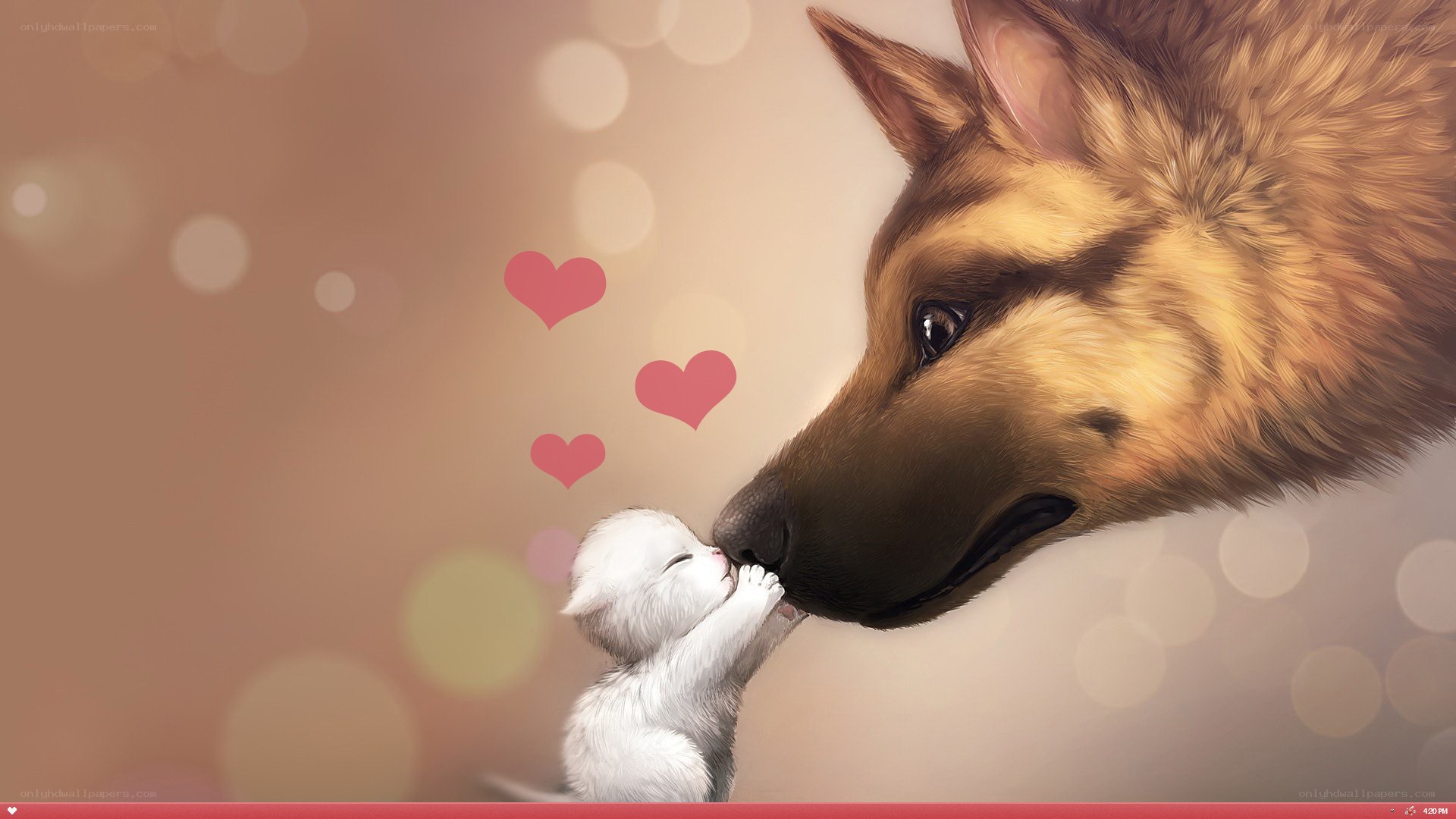 dog and kitten affection