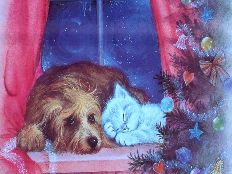 Dog and Kitten Sleeping