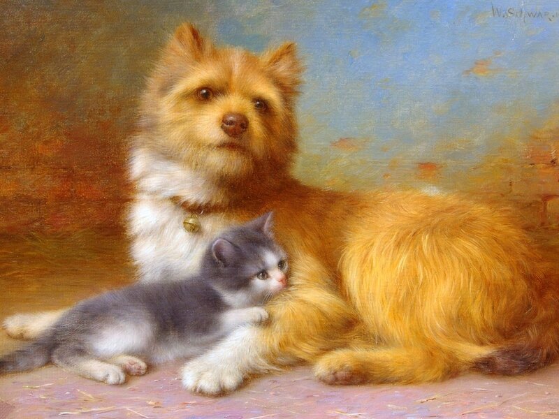 Dog and Kitten