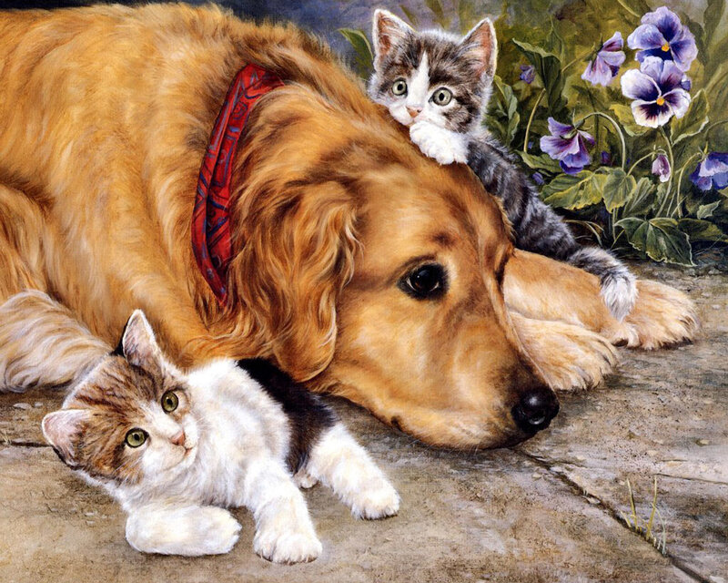 Dog and kittens in garden