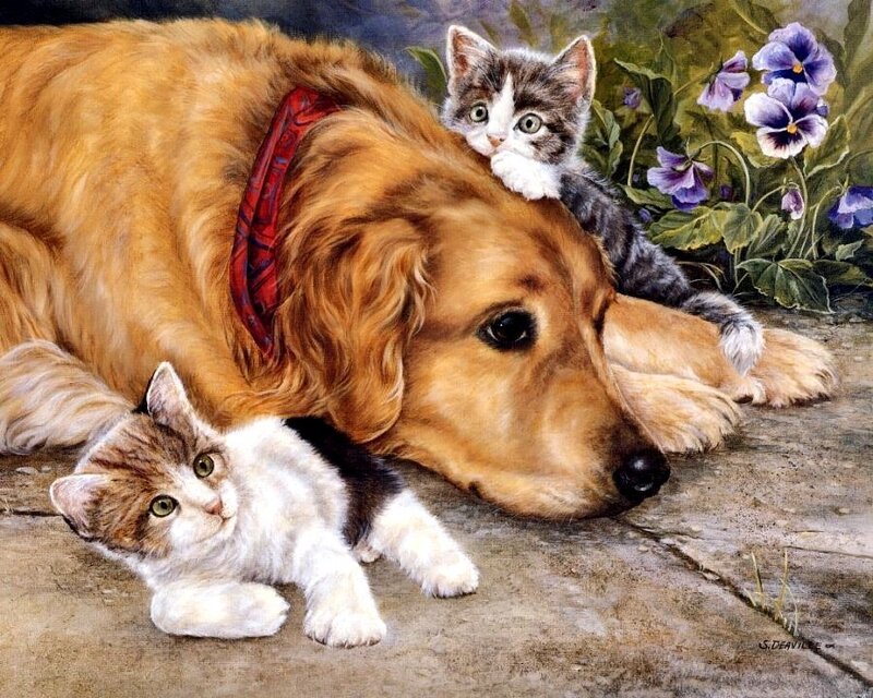 Dog and kittens in garden