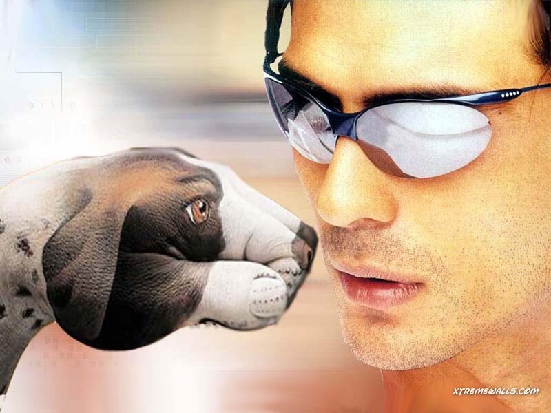 Dog and Man in Sunglasses