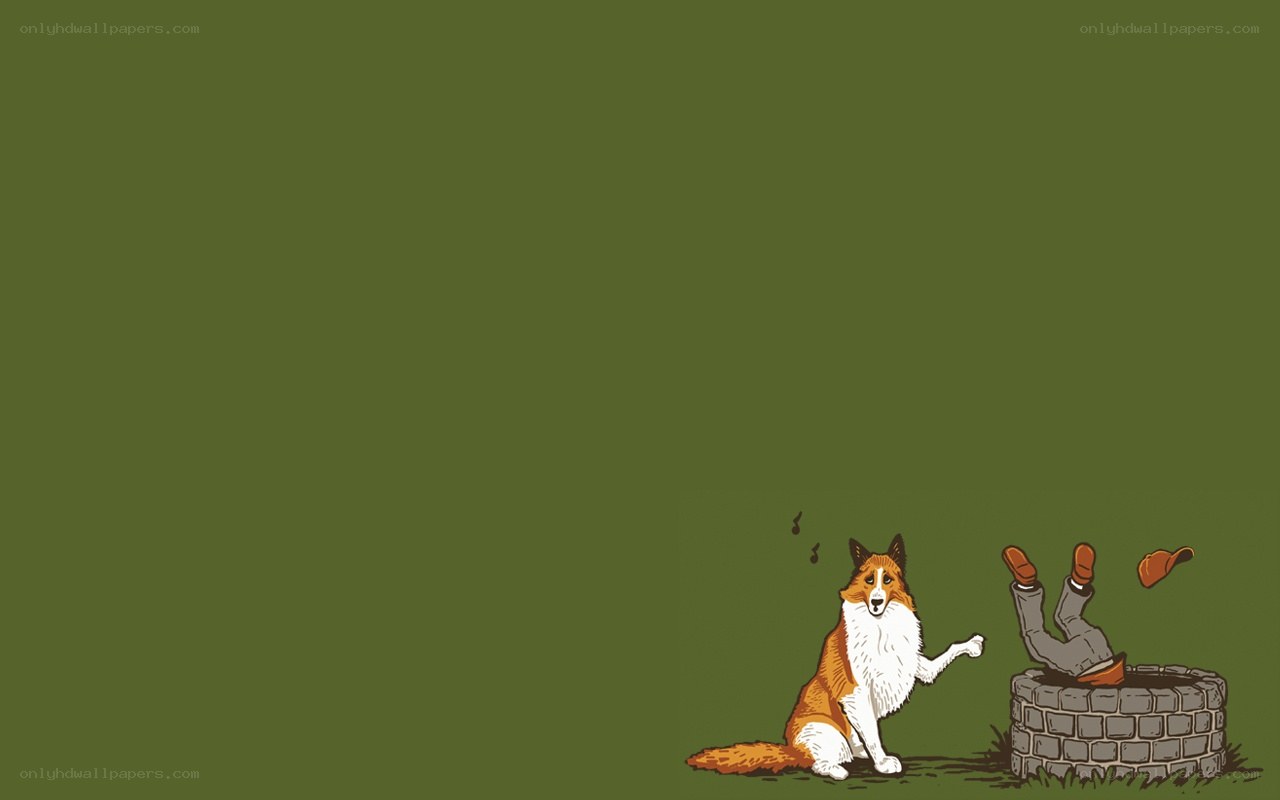 dog and man in well