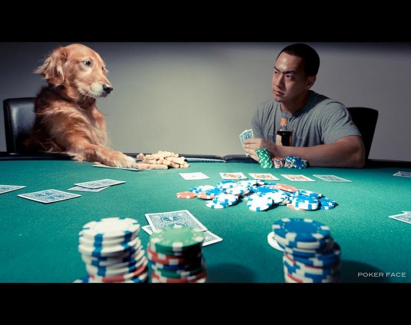 Dog and Man Playing Poker