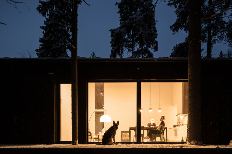 Dog and People in House