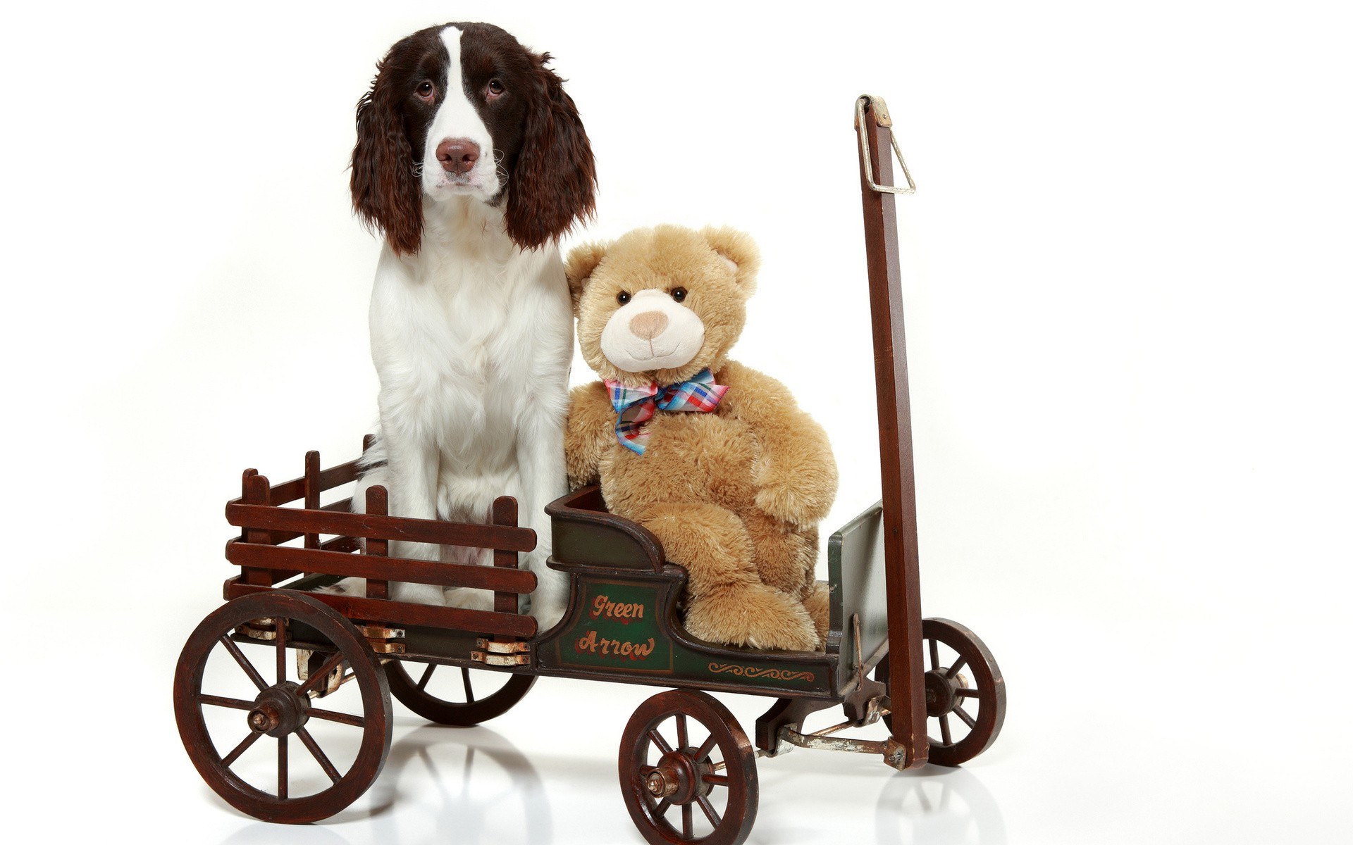 dog and teddy bear in wagon