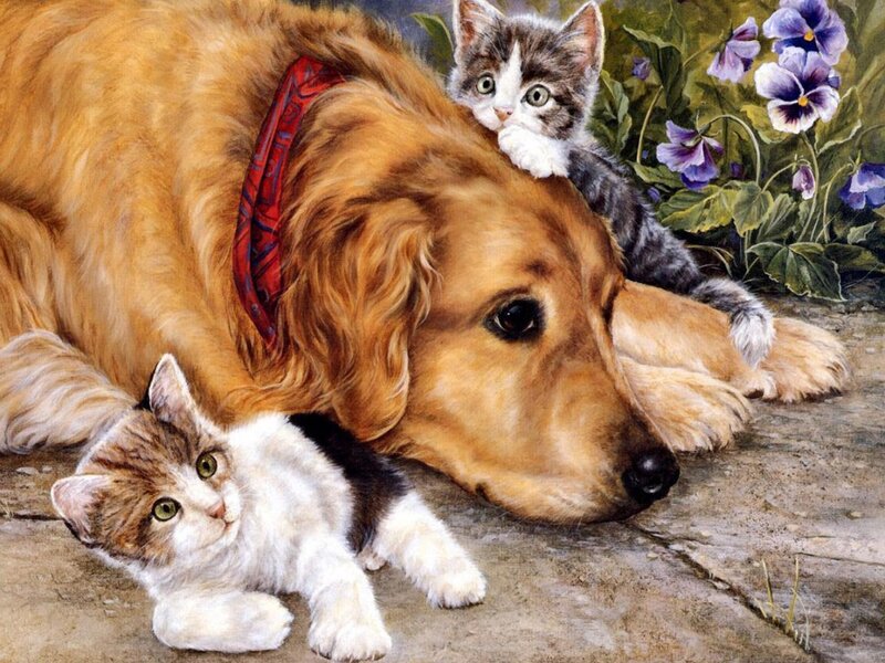 Dog and Two Kittens