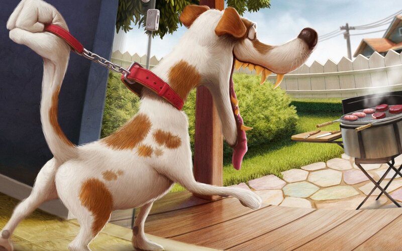dog at a barbecue