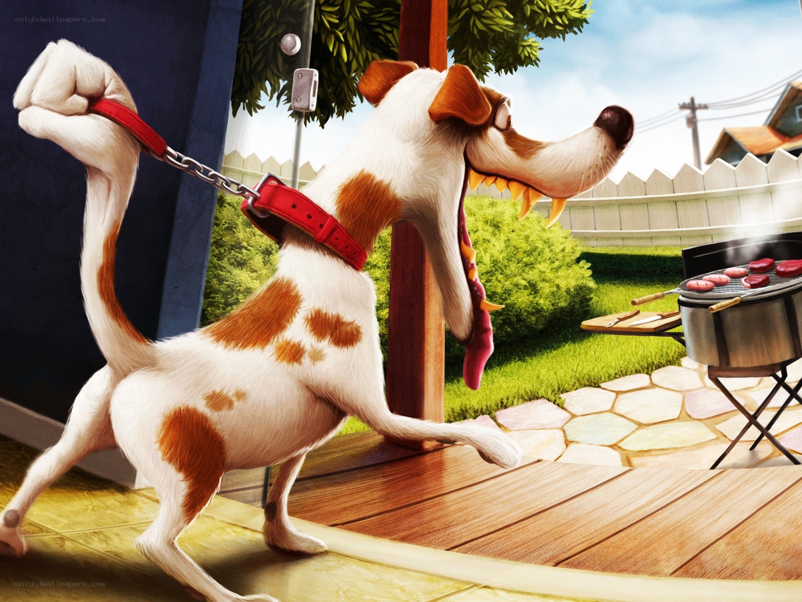 Dog at a barbecue