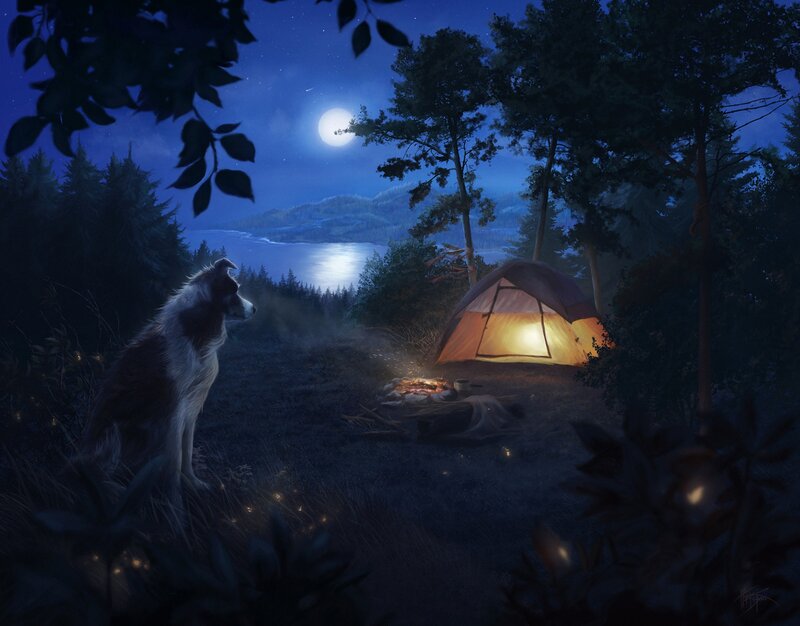 Dog at Campsite