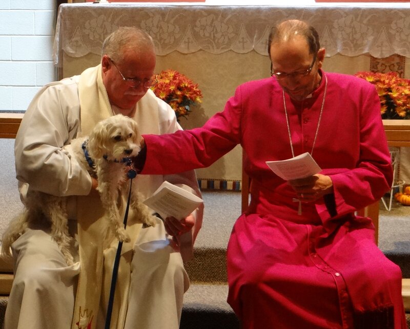 Dog at Church Service