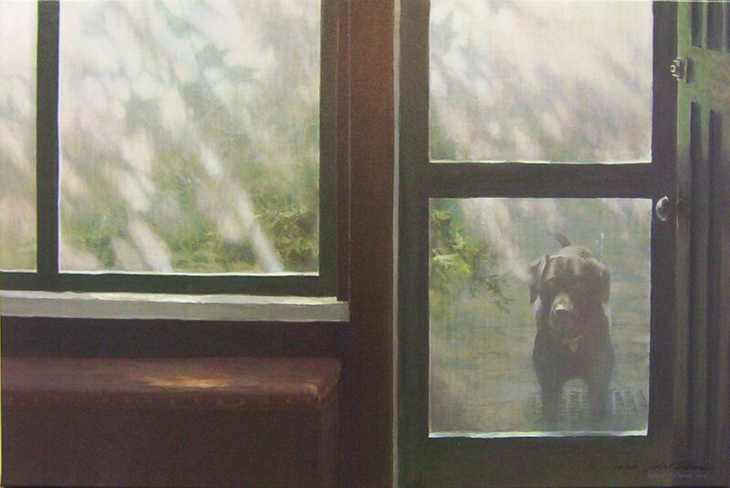 Dog at the door in rain
