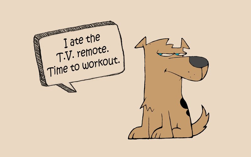 dog ate remote