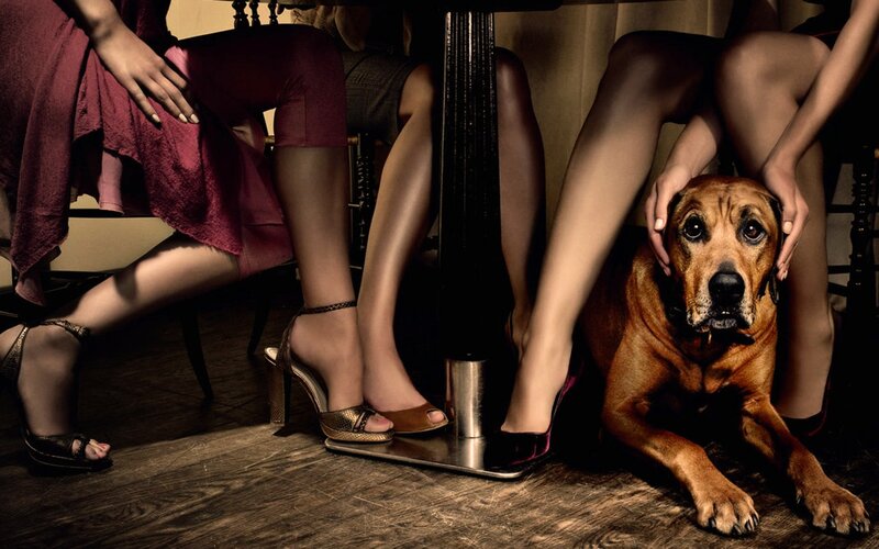 Dog Between Women's Legs