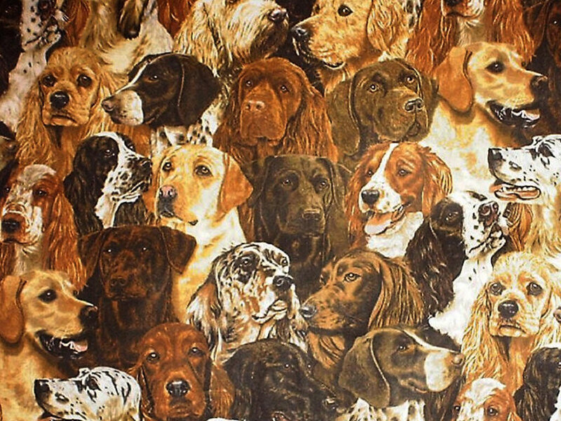 dog breeds collage