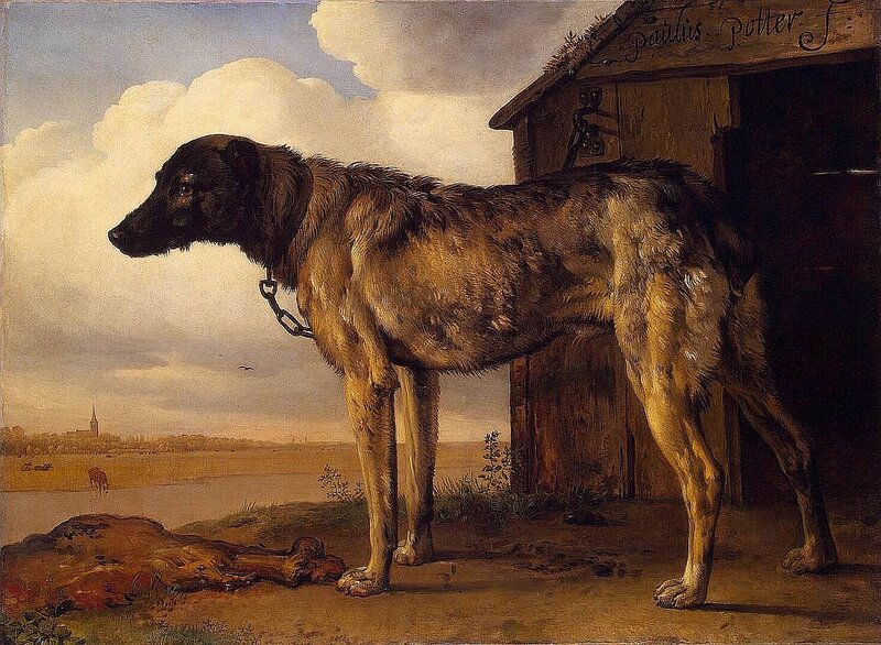 Dog by a Doghouse