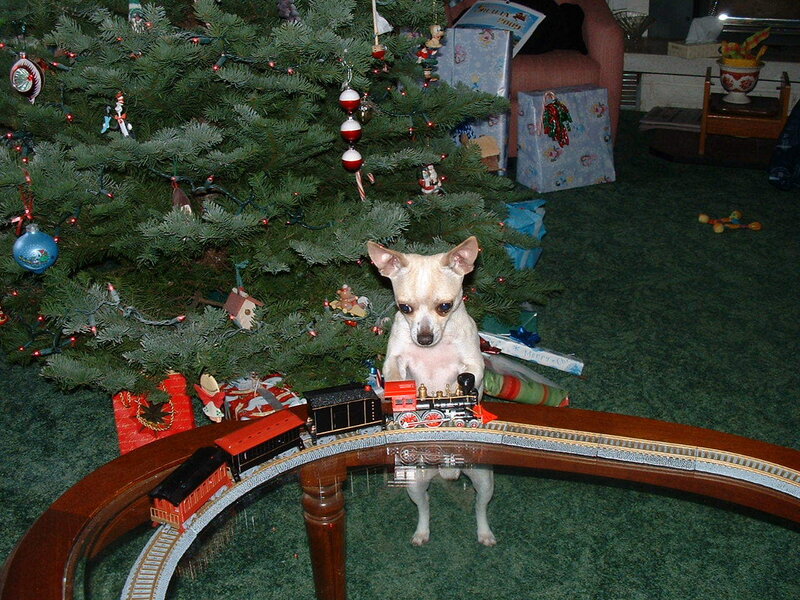 Dog by Christmas tree with train