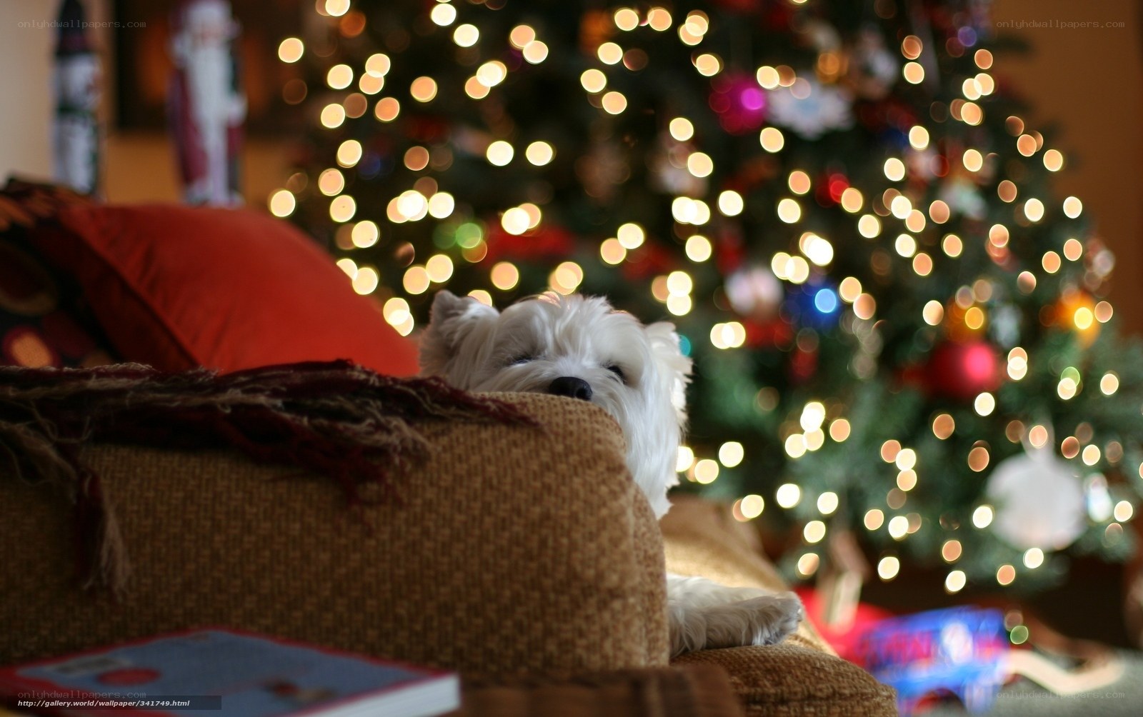 dog by christmas tree