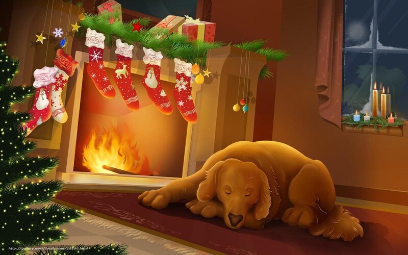 Dog by the fireplace