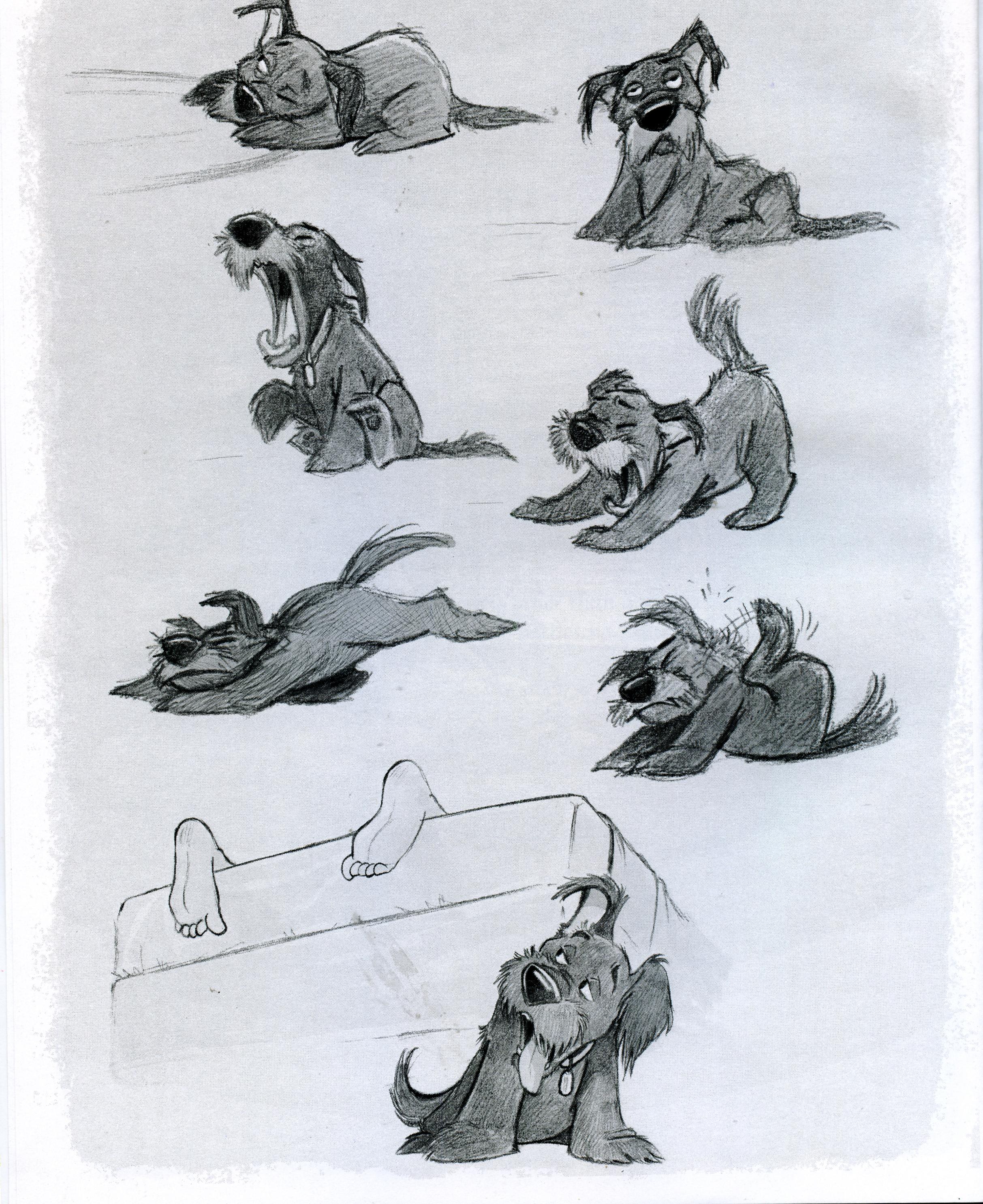 dog character design sketches