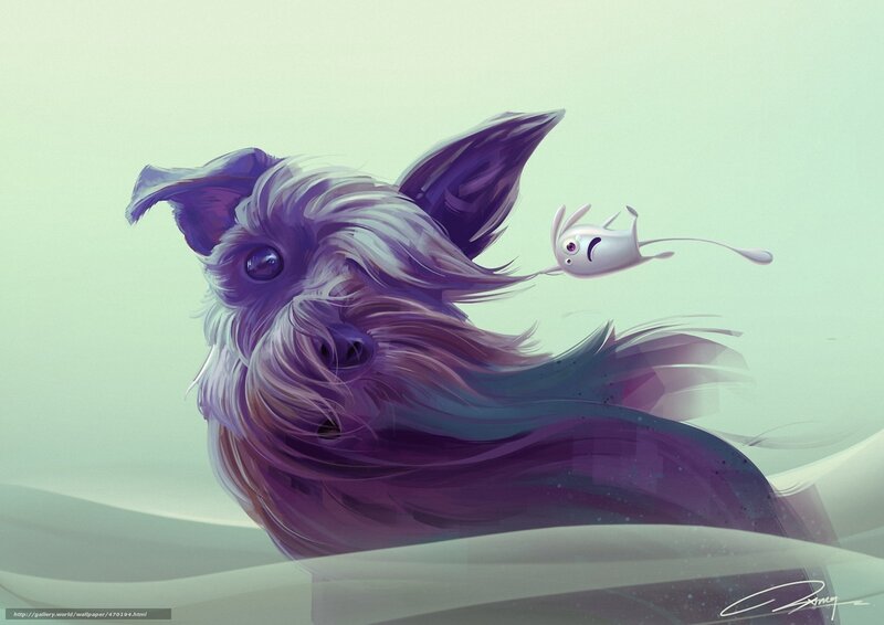 dog chasing a fish