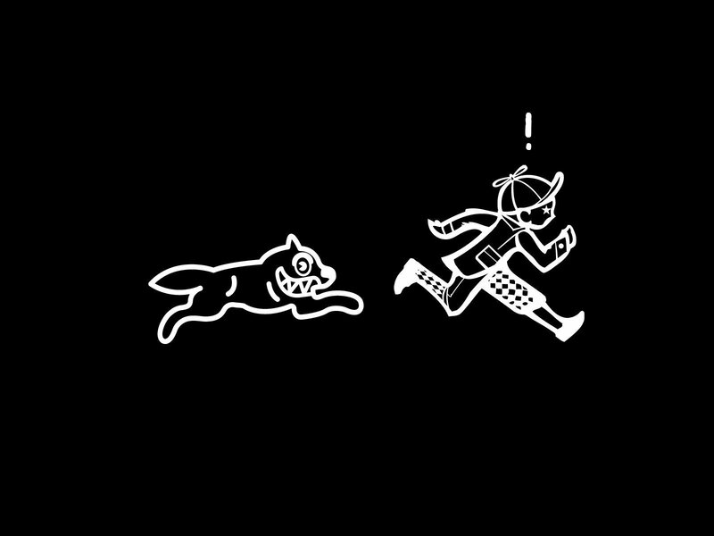 dog chasing person