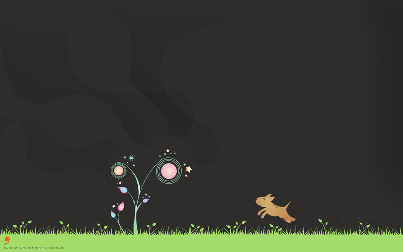 dog chasing stars