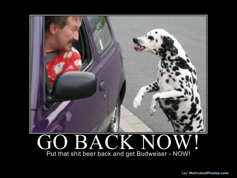 dog demands beer