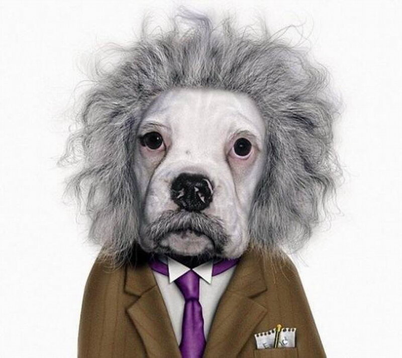 Dog Dressed as Scientist