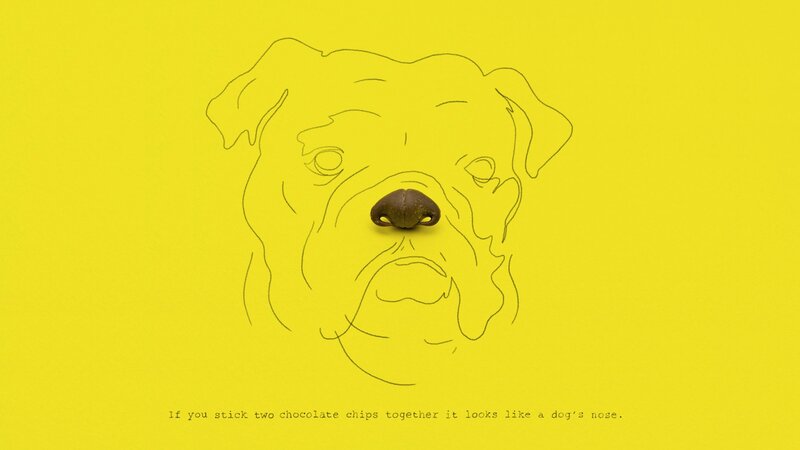 Dog Face Outline