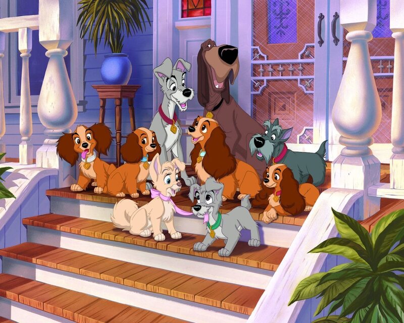 Dog Family on Porch