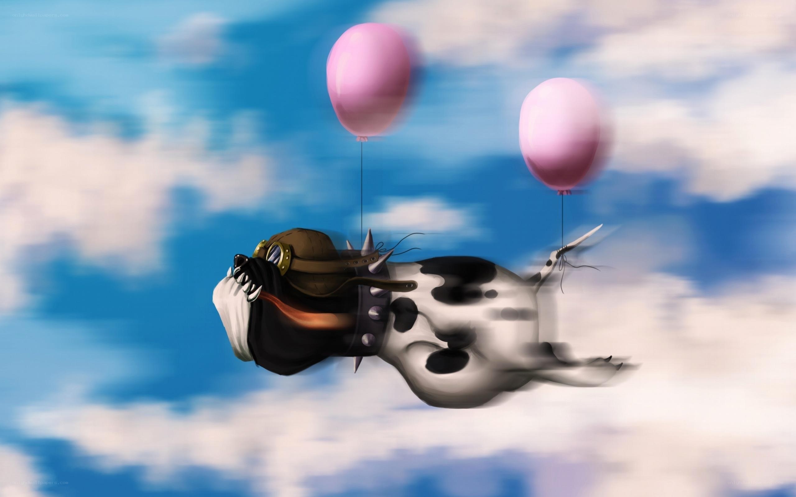 dog flying with balloons