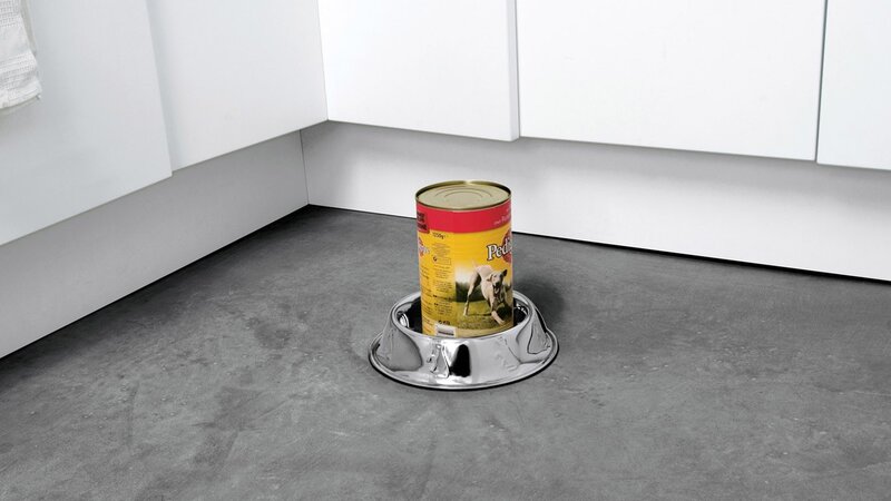 Dog Food Can in Bowl