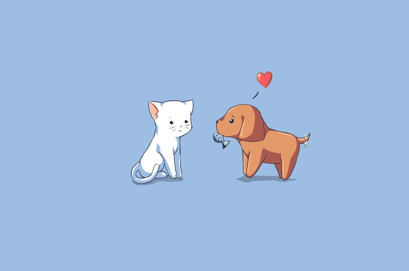dog gives fish to cat