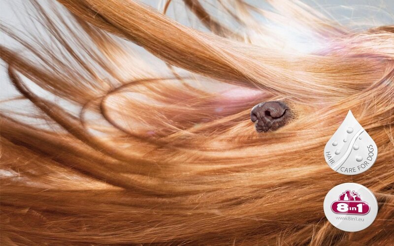 dog hair care product ad