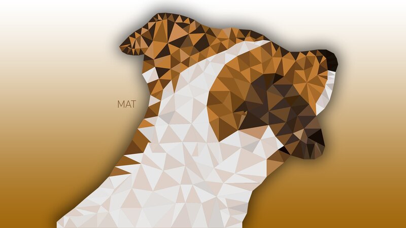 Dog Head in Polygonal Style
