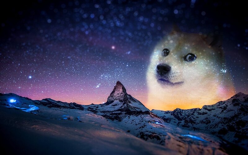 Dog Head in Starry Sky