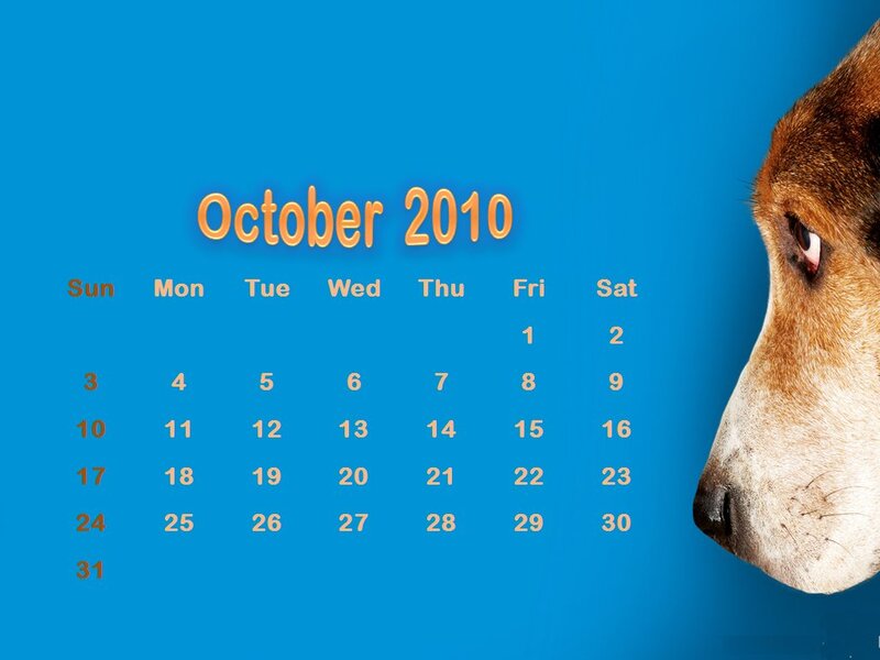 Dog Head Profile — Blue