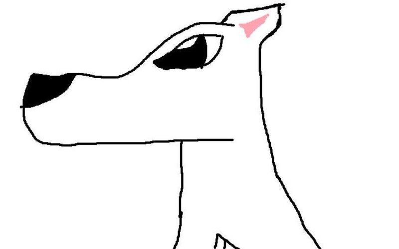 Dog Head Profile
