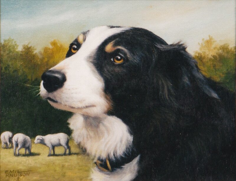Dog herding sheep in a field